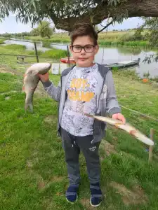 Fat Fish - 8
