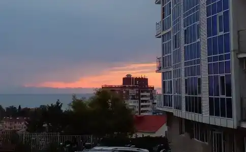 Альпийская - 25