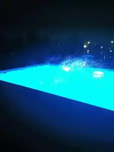 Феникс - 10
