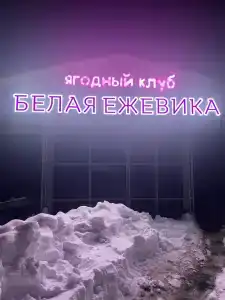 Белая Ежевика - 13