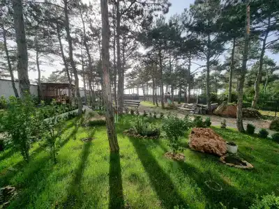 Песчаный берег - 11