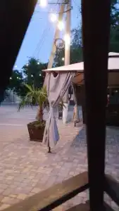 Профитто - 33