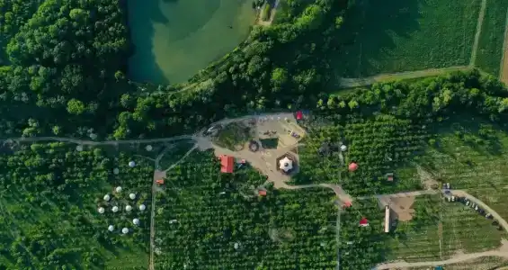 Арт-Ковчег - 25