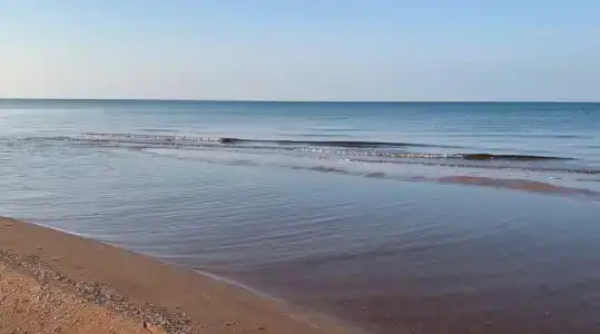 Белый Лотос - 4