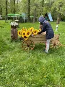 Теремок - 35
