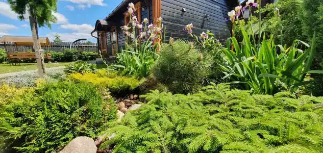 Любимый Суздаль - 13