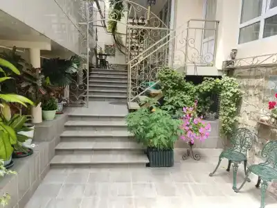 Павелина - 0
