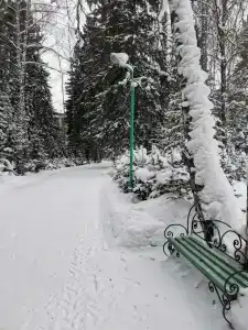 Анжерский - 36