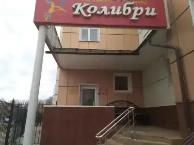 Колибри - 1