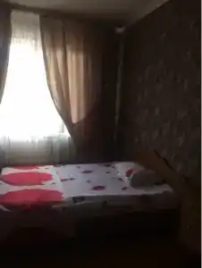 Олива - 8