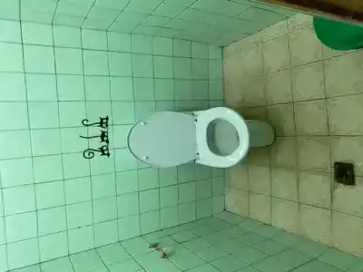Зефир - 0