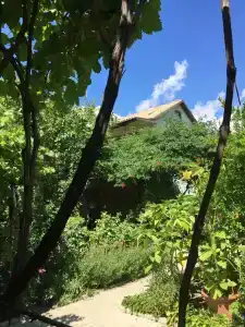 Бумеранг - 6