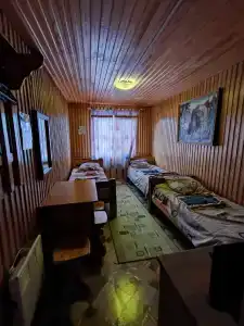 Калина красная - 1