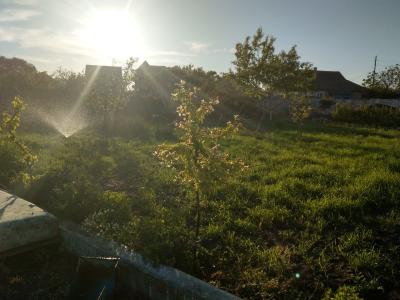 Black Sea - 6