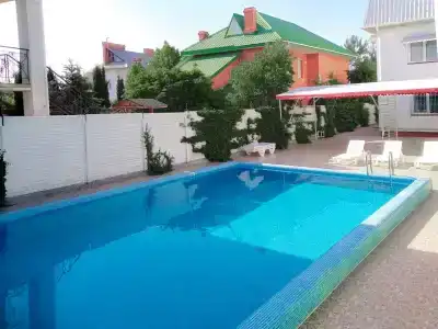 Вега - 1