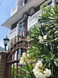 Мини отель Асхо - 10