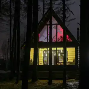 СмородинаХаус - 29