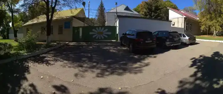 Ромашка - 12