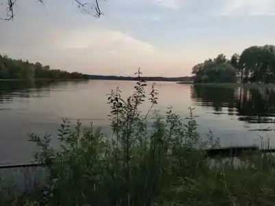 Импульс - 1