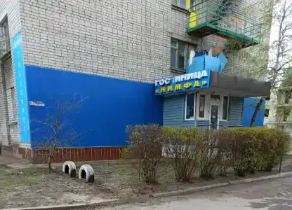 Нимфа - 4