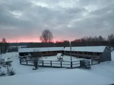 Алексеевское - 27