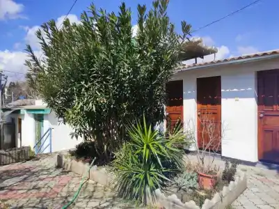 Green Patio - 7