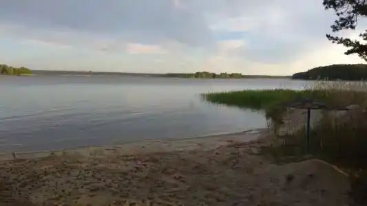 Добрыня - 10