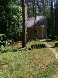 Лесовичок - 25