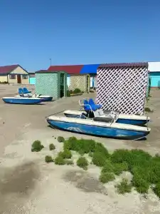 Бамбук - 1