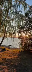 Поляна - 22