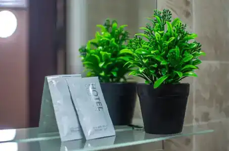 Власовых - 29