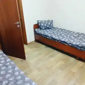 Сосны - 40