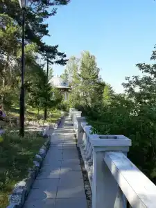 Сосновый бор - 55