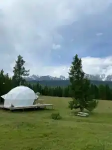 Мир Алтай - 71