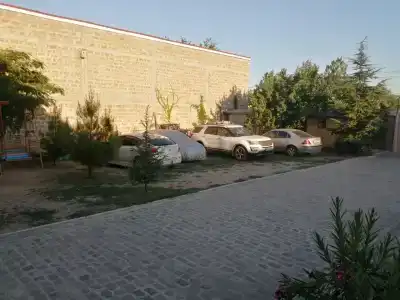 Белый пеликан - 4