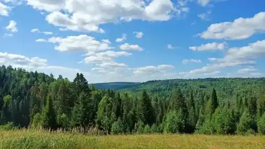 Ключ - 37