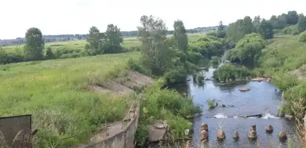 Бузим Красноярск - 98