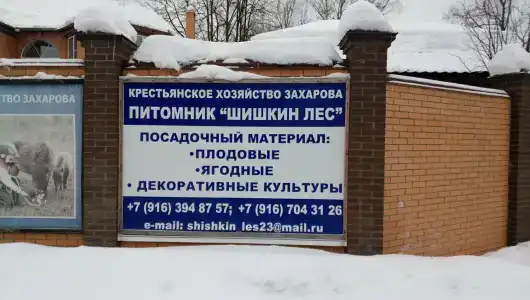 Костин двор - 22