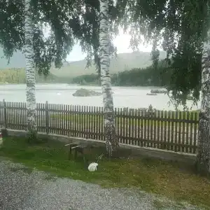 Катунский - 5