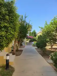 Malama Beach Holiday Village - 47