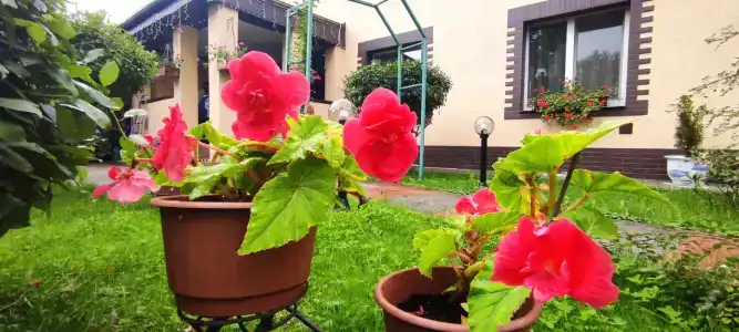 Тихая Гавань - 30