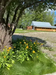 Спутник - 13