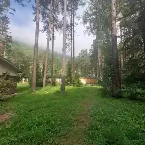 Манский плес - 0