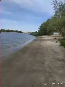 Бодрость - 63