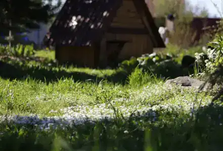 Медвежье урочище - 12