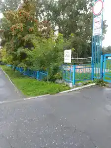 Родничок - 18