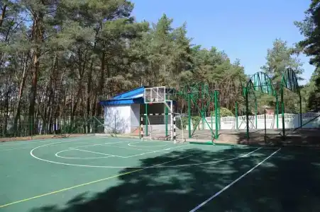 Сосновый бор - 1