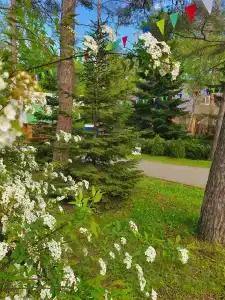 Межгорье - 59