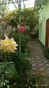 Чтобы отдых удался! - 6