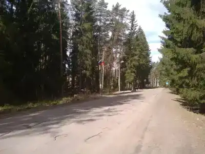 Сосновый Бор - 26
